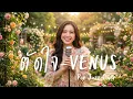 Venus - ตัดใจ | Smooth Pop Jazz Cover