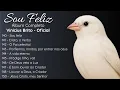 Álbum: Sou feliz - HINOS CCB CANTADOS