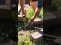 How to remove a broken fence post How to remove a rotted fence post that is in the ground