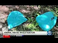 Reward grows in Wolcott pitbull dumping case