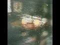 Polaroid - Wataru Fujiwara