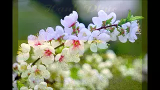 Hạnh phúc