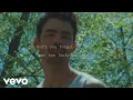 Download Lagu Jonas Brothers - Lucky (Lyric Video)