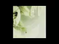 Beautumn — As the snow leaves the ground • Ambient
