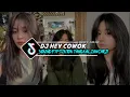 Download Lagu DJ HEY COWOK VIRAL TIK TOK