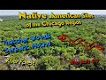 Native American Sites of the Chicago Region - Thatcher Woods Serpent Mound