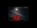 Trampled by Turtles Alone
