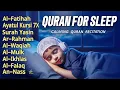 Healing Recitation For Sleep And Your All Problems Solve | Relaxing-Holy Quran | By Alaa Aqel