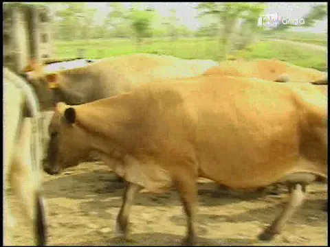 Ecuador Agropecuario 08-08-2018