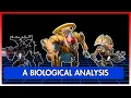 A Biological Analysis of the Vex