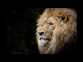 Bonobo - Return To Air | Worldwide Music Experience