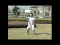 Download Lagu Chen Style Lao Jia Er Lu - Wang Er Ping