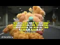 Download Lagu Story wa | quotes jomblo dj butuh kasih sayang