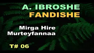 AHMAD IBROSHE Track 06 BITAA FI BITAMAAN BEST OROMO Music 