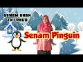 Download Lagu SENAM PINGUIN
