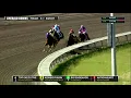 2021 Auburn Stakes