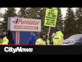 Canada Post employees in Winnipeg hold the line at Purolator