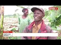 Lagu Ebya taata attunka n’omutabani olw’ebintu by’omugenzi biranze:Bamusaayidde ebirime.