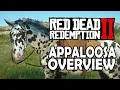 Appaloosa Overview Red Dead Redemption 2 Horses