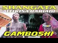 Download Lagu SHANGATA AITIKISA BARIADI