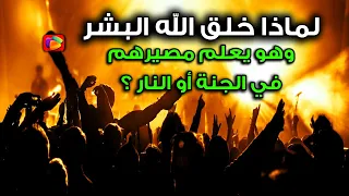 الإجابة ستصدمك   لماذا خلق الله البشر وهو يعلم مصيرهم في الجنة أو النار ولماذا نزل إبليس إلى الأرض  دندنها