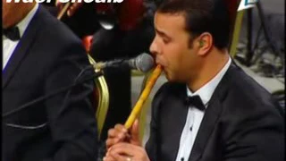 ليلة عشق حنان ماضي حفل دار الاوبرا دندنها
