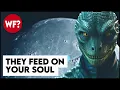 Download Lagu The Moon’s Dark Secret: Aliens Harvesting Human Souls for FOOD