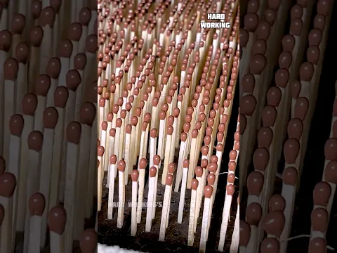Part 1 - How Millions of Matchsticks Are Made in a Factory | Amazing Manufacturing Process