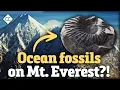 How Do Mountains Form Crash Course Geology