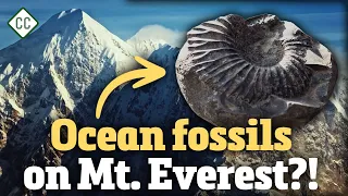 How Do Mountains Form?: Crash Course Geology #11