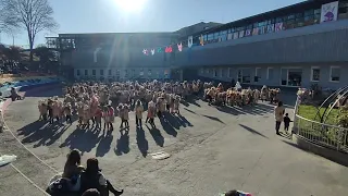 'Ihote baltsa'