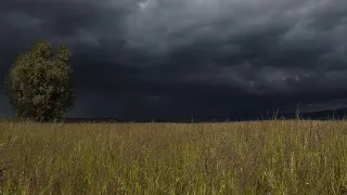 Summer Thunderstorm In Windy Field Calm Before The Storm 3 HOURS 