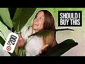 Should You Buy This 200 Fake Plant from Target 72 Banana Tree in Cement Pot - Opalhouse Review