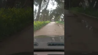 2019 شباط 1 الثانوية الزراعية بالسلمية يوم ماطر 