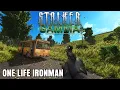 Download Lagu Only ONE Life So We SURVIVE - GAMMA ONE LIFE IRONMAN