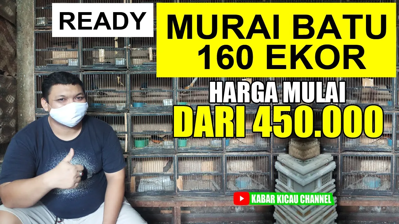 
          
          
          
            
            UPDATE Harga Burung Tahun 2021 Kios Karunia Abadi Pasar Burung Pramuka - Ready Murai Batu 160 EKOR
          
        . 