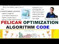 POA - CODE Pelican Optimization Algorithm Code Implementation xRayPixy
