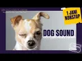 Lagu Suara Anjing Menggonggong | DOG SOUND | Sound Gratis  | 1 JAM NONSTOP