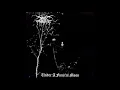 Darkthrone - To Walk The Infernal Fields
