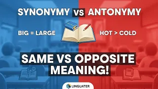 Difference Between Synonymy and Antonymy - Definition Examples and Usage