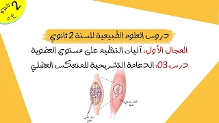 درس 03 الدعامة التشريحية للمنعكس العضلـي ثانية ثانوي علوم تجريبية 