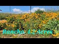 R A N C H O de venta en Perris Ca 4 2 ACRES