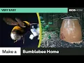 How to make a Bumblebee Home