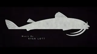 Paper Towns Main On Ends 