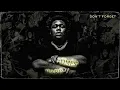 Rod Wave - Don't Forget (Official Audio)