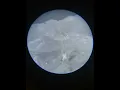 Overture | Metamorphosis {Slowed + Divine Echo}