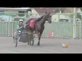 One-Horse Race Delivers Sure Thing At Yonkers