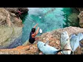 Download Lagu Medan Berbahaya \u0026 Tebing Curam | Spot Mancing yg Menantang Maut.