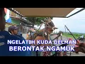 Download Lagu KUDA LATIHAN PERTAMA BERONTAK