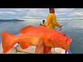 Download Lagu Makin Sore Makin Ganas Cara ikan Makan di Spot ini, Laut Tenang Serasa Mancing di Kolam